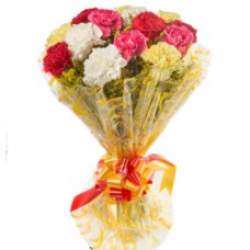 Selection of Mixed Colour Carnations